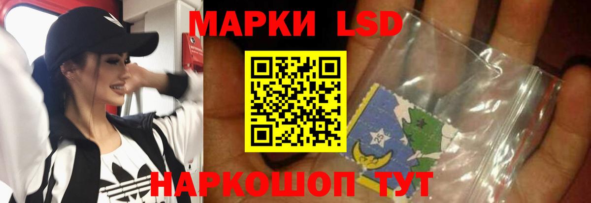 Курчалой  Лсд 25 экстази ecstasy  LSD-25 экстази ecstasy  LSD-25 экстази  Вход с VPN 