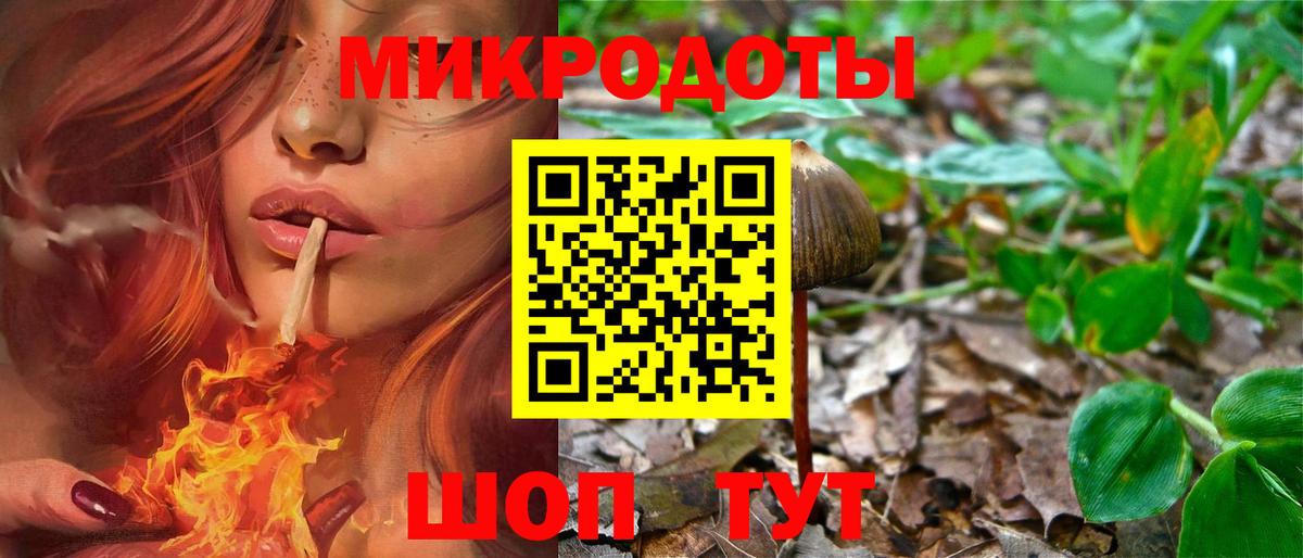 Галлюциногенные грибы Psilocybe  Вход с VPN  Курчалой 